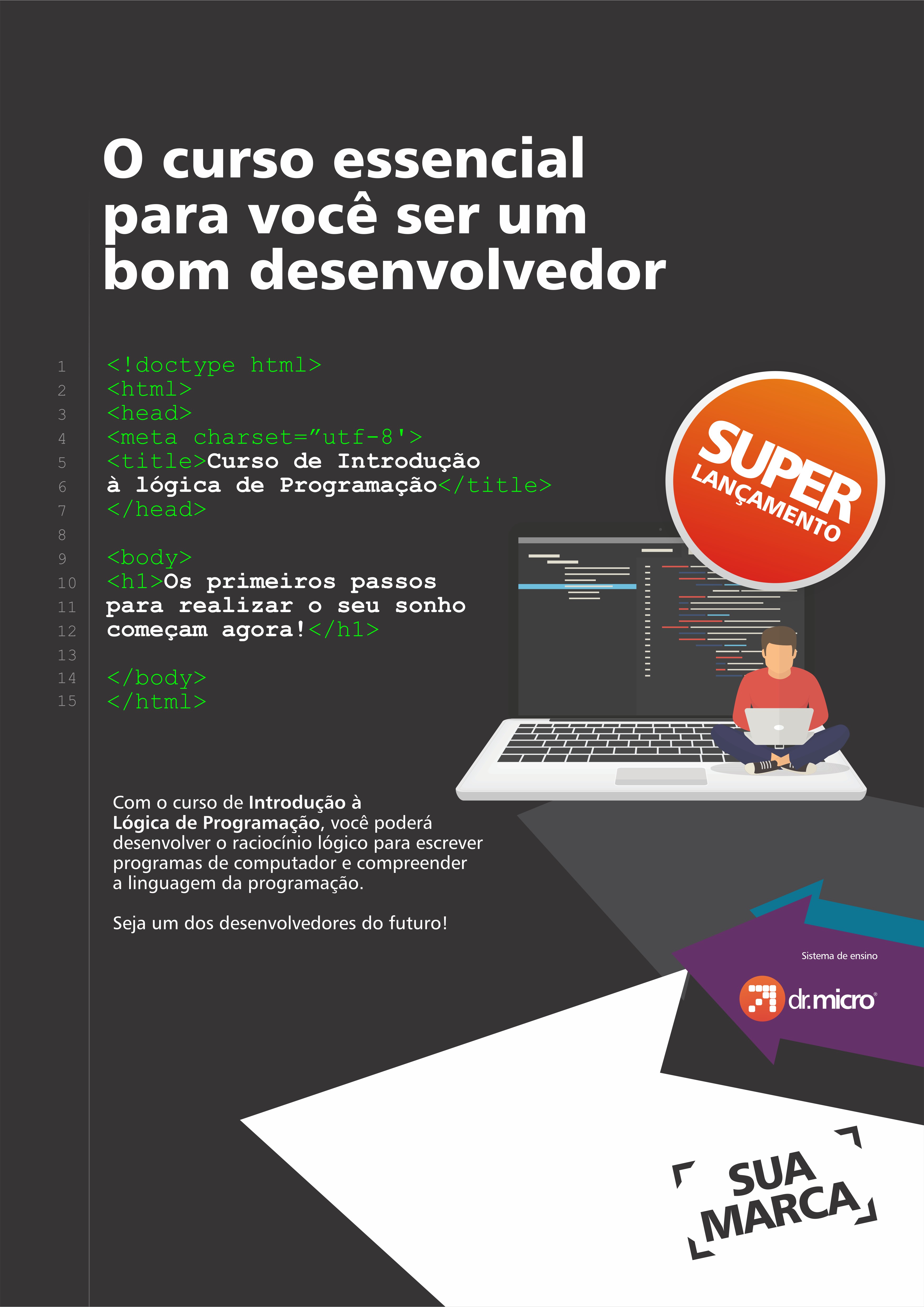 Curso de Lógica de Programação: Os Primeiros Passos